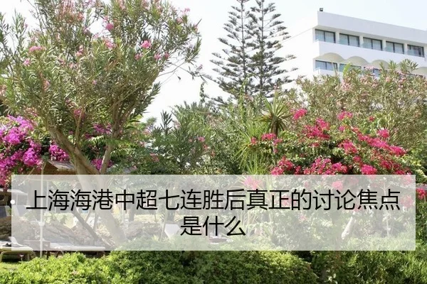 上海海港中超七连胜后真正的讨论焦点是什么