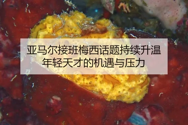 亚马尔接班梅西话题持续升温 年轻天才的机遇与压力